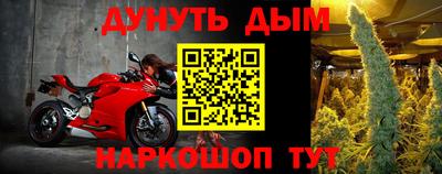 индика Рыбинск
