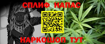 гидра Рязань