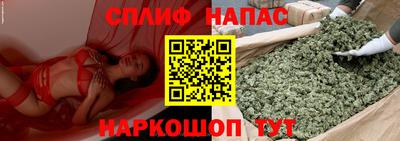 гидра Рязань