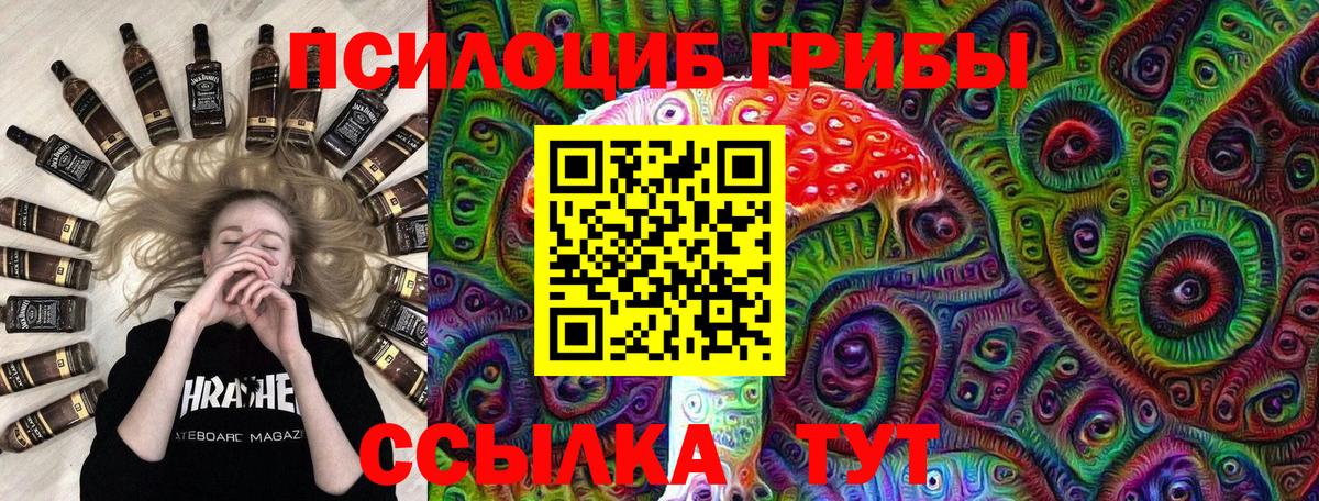 Псилоцибиновые грибы прущие грибы Пушкино