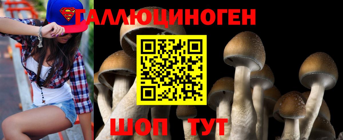 Галлюциногенные грибы Psilocybe  Вход с VPN  Пушкино 